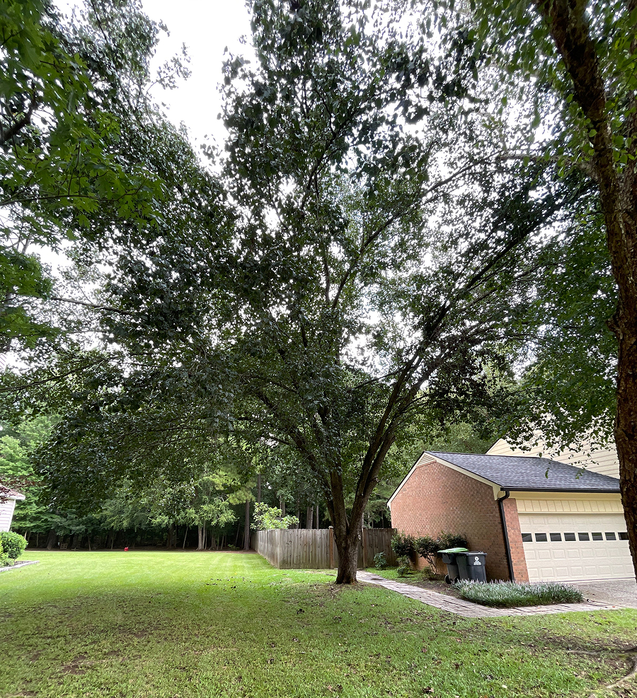 How the Bounty Works