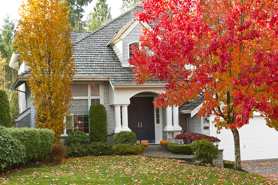 Fall Pruning in South Carolina