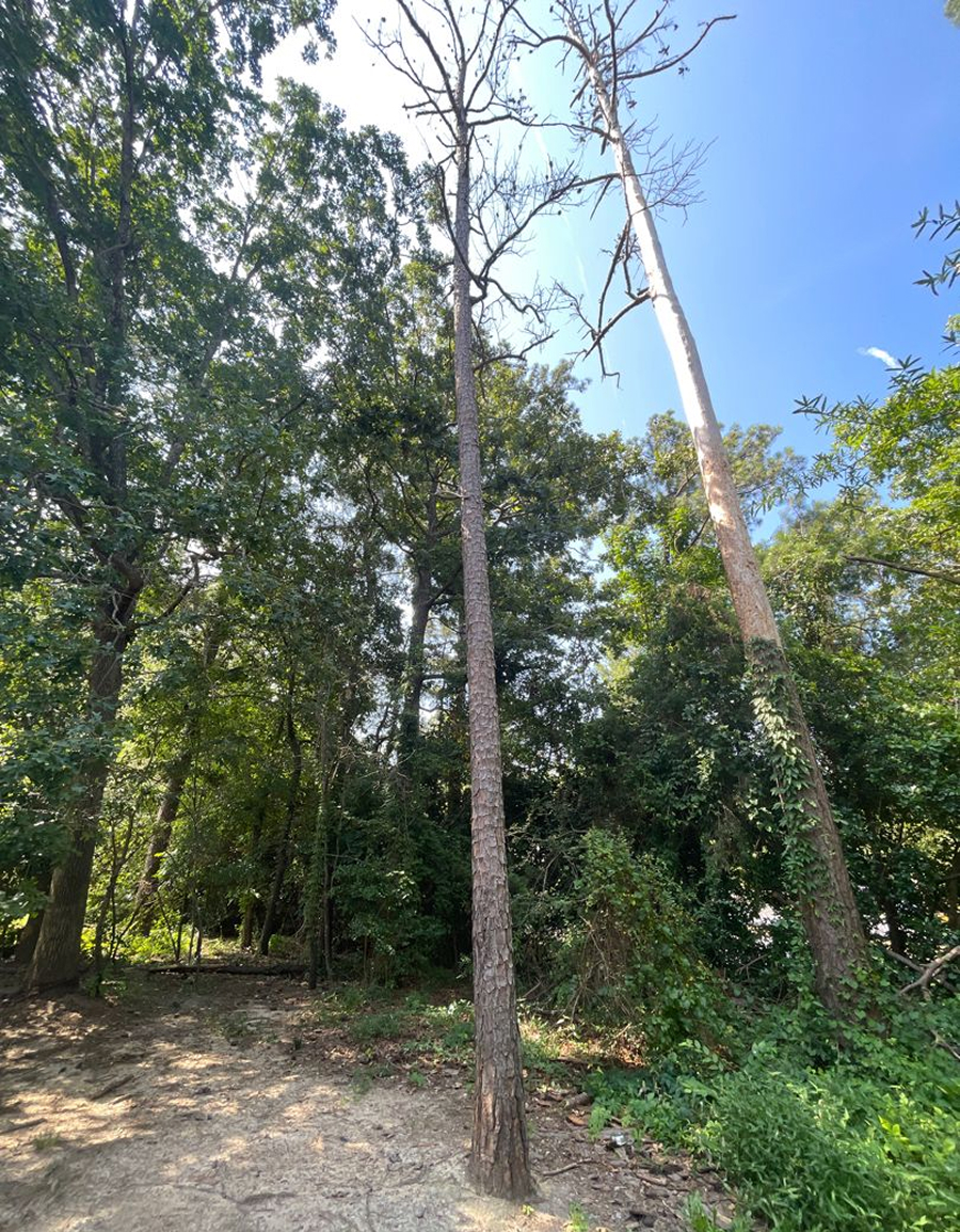 Three Warning Signs to Watch For