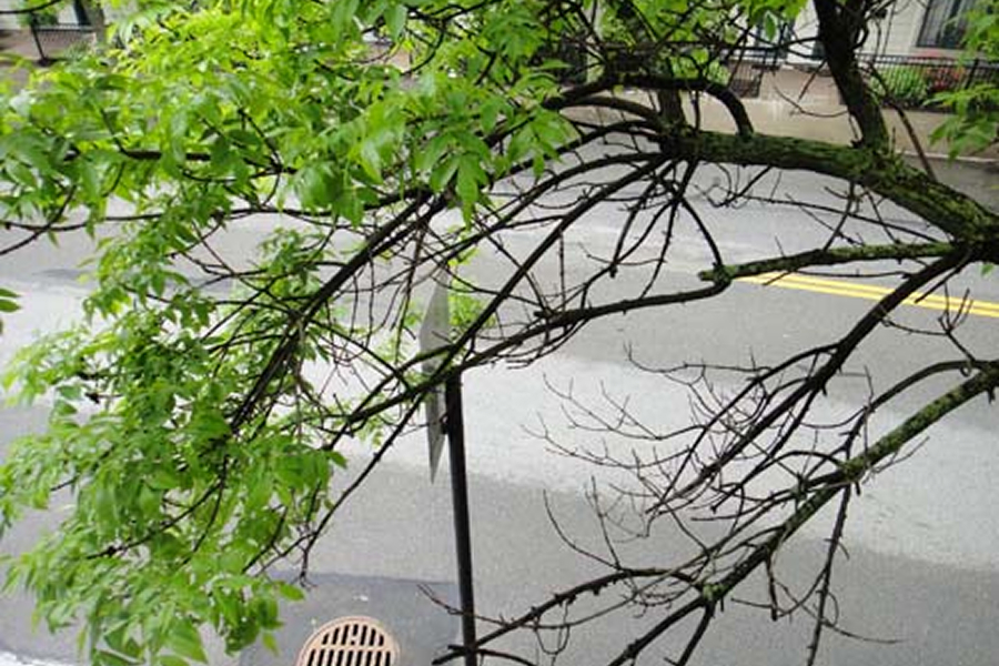 what can you do in the fal