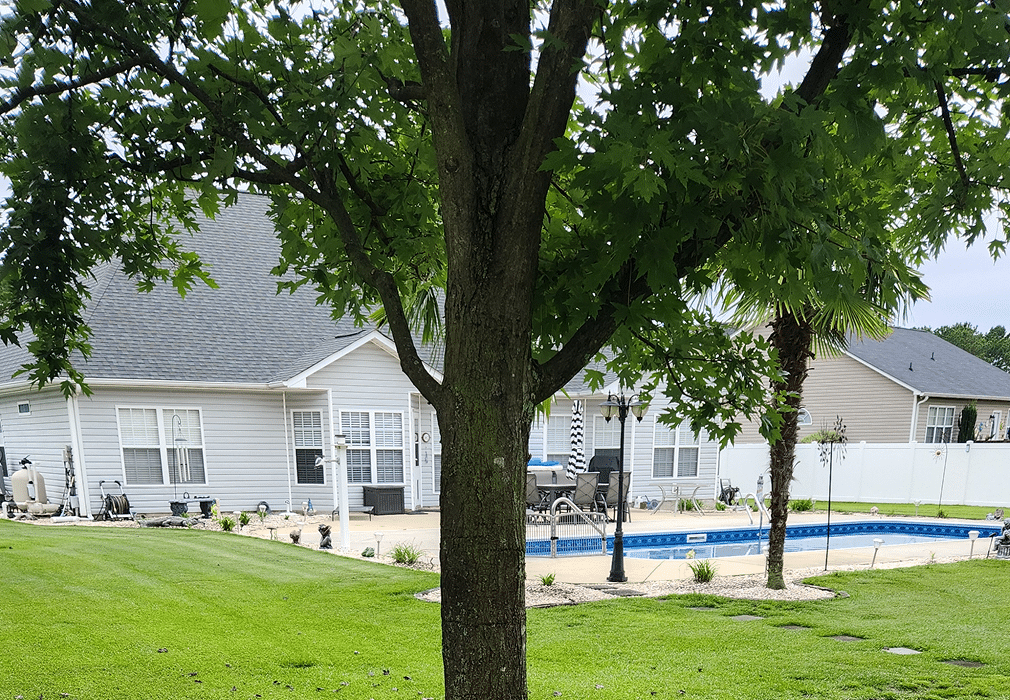 Benefits of trees 1