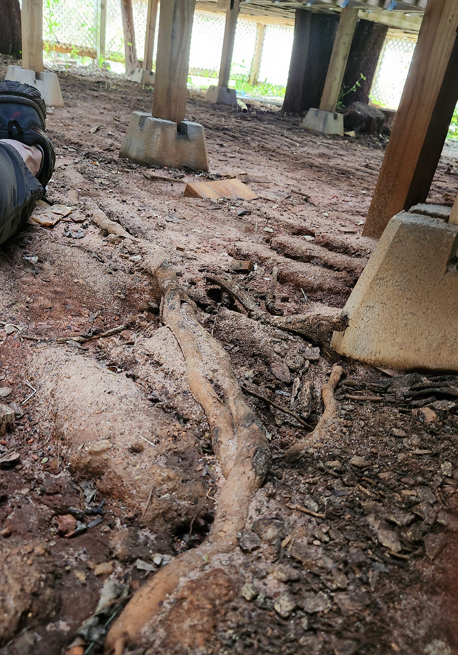 Construction Cautions